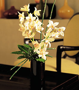  Krehir iek siparii sitesi  cam yada mika vazo ierisinde dal orkide