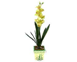 zel Yapay Orkide Sari  Krehir yurtii ve yurtd iek siparii 