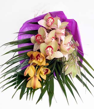  Krehir online iek gnderme sipari  1 adet dal orkide buket halinde sunulmakta