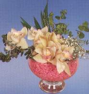  Krehir iek online iek siparii  Dal orkide kalite bir hediye