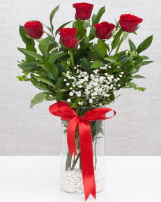 cam vazo içerisinde 5 adet kırmızı gül  Kırşehir online çiçek gönderme sipariş 