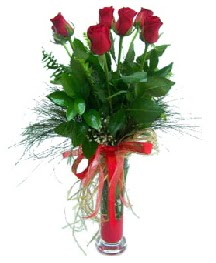 vazo içerisinde 5 kırmızı gül  Kırşehir çiçek mağazası , çiçekçi adresleri 