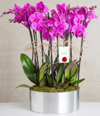 11 dall mor orkide metal vazoda  Krehir iek yolla , iek gnder , ieki  
