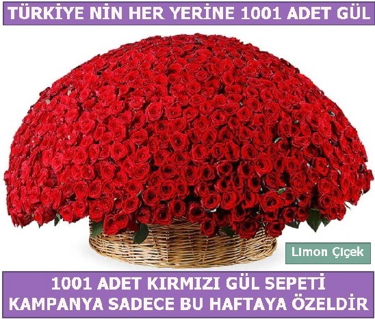 1001 Adet kırmızı gül Bu haftaya özel  Kırşehir online çiçekçi , çiçek siparişi 
