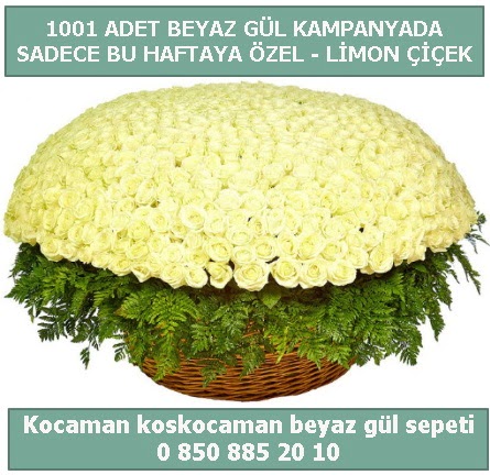 1001 adet beyaz gül sepeti özel kampanyada  Kırşehir çiçek yolla , çiçek gönder , çiçekçi  
