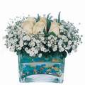 mika ve beyaz gül renkli taslar   Kırşehir çiçek gönderme 