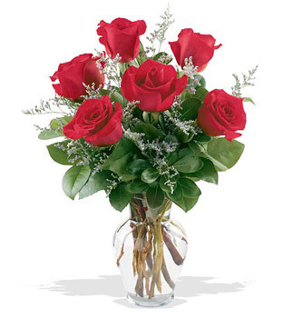  Kırşehir online çiçek gönderme sipariş  cam yada mika vazoda 6 adet kirmizi gül