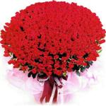  Kırşehir güvenli kaliteli hızlı çiçek  1001 adet kirmizi gülden çiçek tanzimi