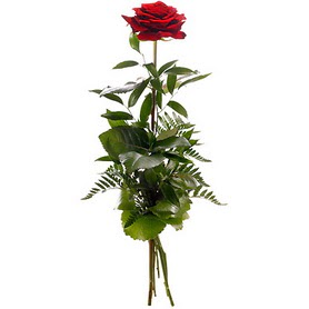  Kırşehir güvenli kaliteli hızlı çiçek  1 adet kırmızı gülden buket