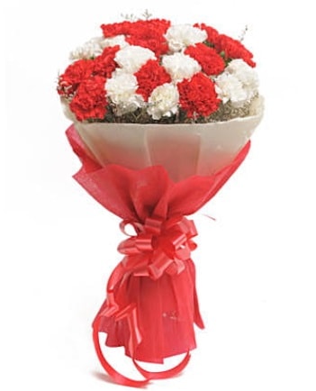 21 adet kırmızı beyaz karanfil buketi  Kırşehir çiçek gönderme 
